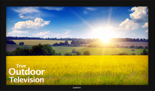  43" Pro 2 Series 1080p Full Sun Outdoor TV